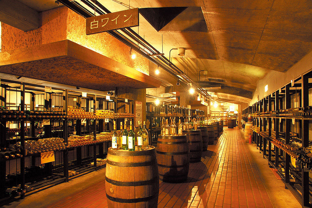 甲州市勝沼　ぶどうの丘